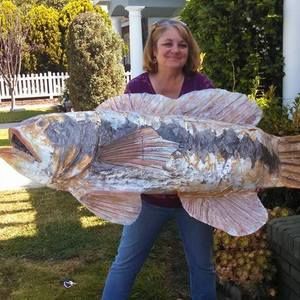 Meet your Posher, Terri